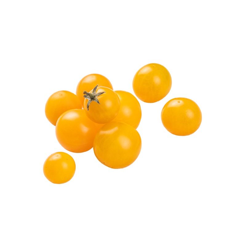 Tomate Cherry Amarillo Hidropónico 